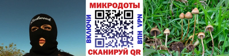 купить наркотик  blacksprut ссылки  Галлюциногенные грибы Magic Shrooms  Светогорск 